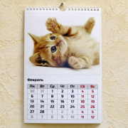 Перекидной 20Х30 13-страничный